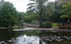 Brisbane City Botanic Gardens - thumb 0