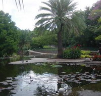 Brisbane City Botanic Gardens - C Tourism