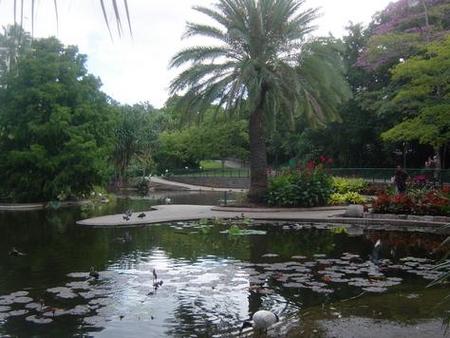 Brisbane City Botanic Gardens - C Tourism 0