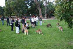 Caversham Wildlife Park - C Tourism 2