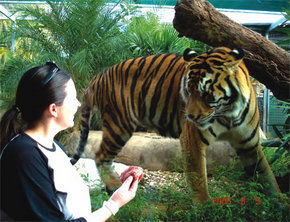 Crocodylus Park - C Tourism 1