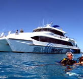 Silver Swift - C Tourism