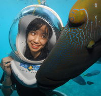 Sunlover Reef Cruises - C Tourism