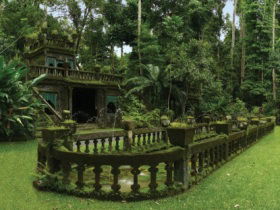 Paronella Park - C Tourism 2