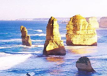 Bunyip Tours - C Tourism 3