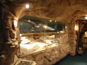 The National Opal Collection - C Tourism 2