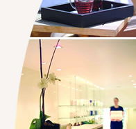 Lyall Hotel and Spa - C Tourism