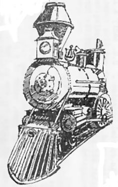Cobden Miniature Railway & Mini Golf Park - C Tourism 1