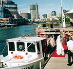 Bay  River Cruises - C Tourism