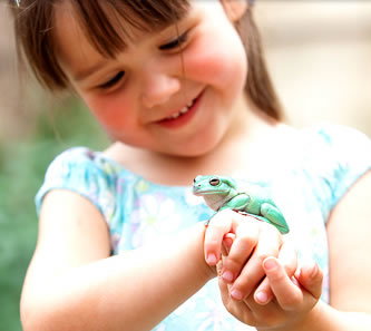 Reptile Encounters - C Tourism 1