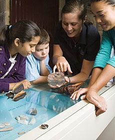 The Rocks Discovery Museum - C Tourism 3