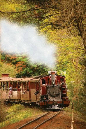 Puffing Billy - C Tourism 5