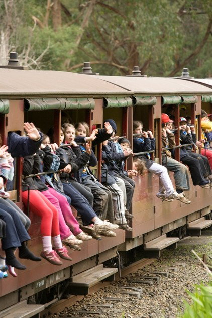 Puffing Billy - C Tourism 6