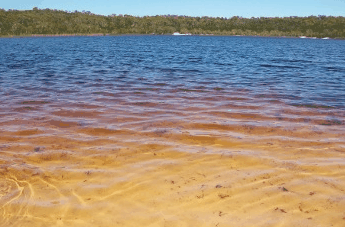 Beach Trekkers North Stradbroke Island - C Tourism 1