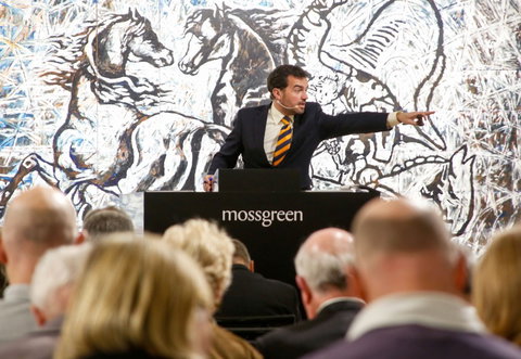 Mossgreen - C Tourism 0