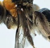 Western Australian Museum - C Tourism