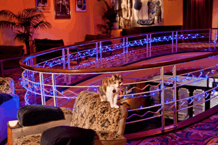 The Astor Theatre - C Tourism 3