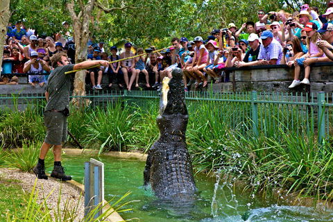 Australian Reptile Park - C Tourism 4