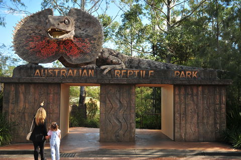 Australian Reptile Park - C Tourism 5