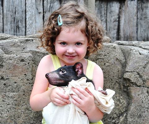 Australian Reptile Park - C Tourism 8