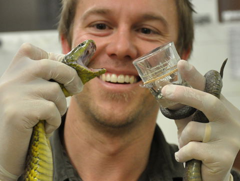 Australian Reptile Park - C Tourism 9