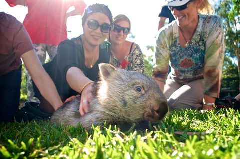Australian Reptile Park - C Tourism 10