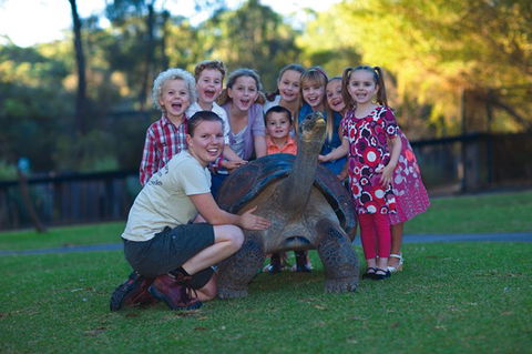 Australian Reptile Park - C Tourism 11