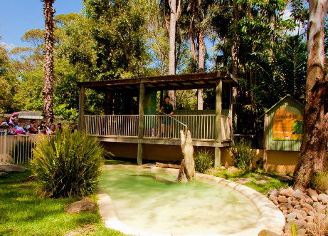 Featherdale Wildlife Park - C Tourism 2