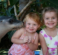 Dolphin Marine Magic - C Tourism