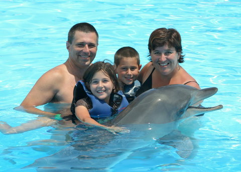 Dolphin Marine Magic - C Tourism 2