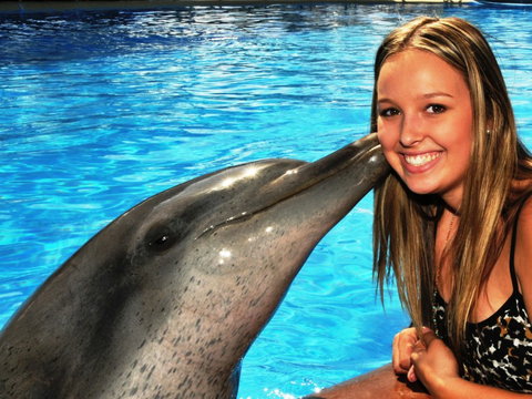 Dolphin Marine Magic - C Tourism 3