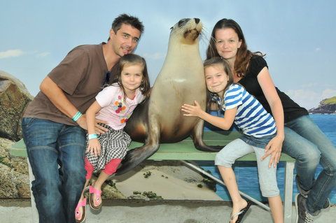 Dolphin Marine Magic - C Tourism 6