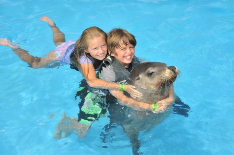 Dolphin Marine Magic - C Tourism 9