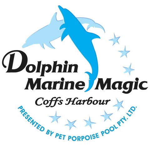 Dolphin Marine Magic - C Tourism 11