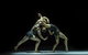 Sydney Dance Company - thumb 0