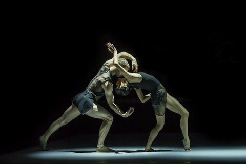 Sydney Dance Company - C Tourism 0