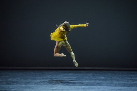 Sydney Dance Company - C Tourism 1