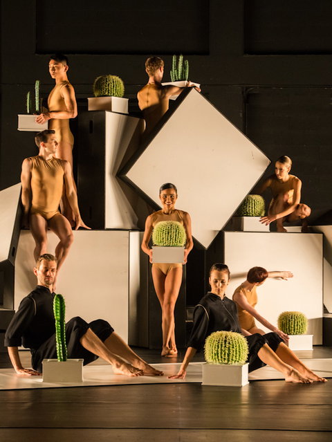 Sydney Dance Company - C Tourism 3