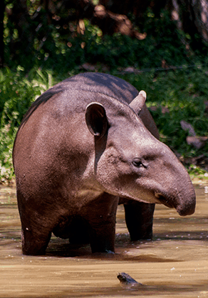 Alma Park Zoo - thumb 4