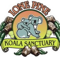 Lone Pine Koala Sanctuary - C Tourism