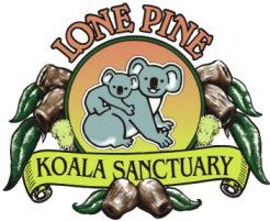 Lone Pine Koala Sanctuary - C Tourism 0