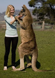 Zoo Doo Wildlife Park - C Tourism 5