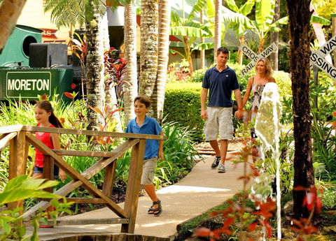 The Ginger Factory - C Tourism 5