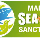 Manly SEA LIFE Sanctuary - C Tourism