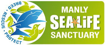 Manly SEA LIFE Sanctuary - C Tourism 0