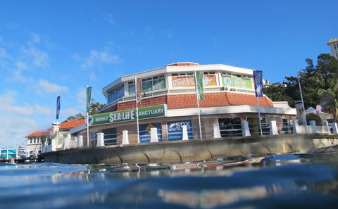 Manly SEA LIFE Sanctuary - C Tourism 2