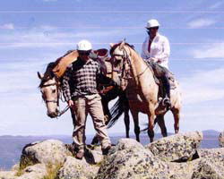 High Country Horses - C Tourism 3