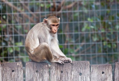 Darling Downs Zoo - C Tourism 5