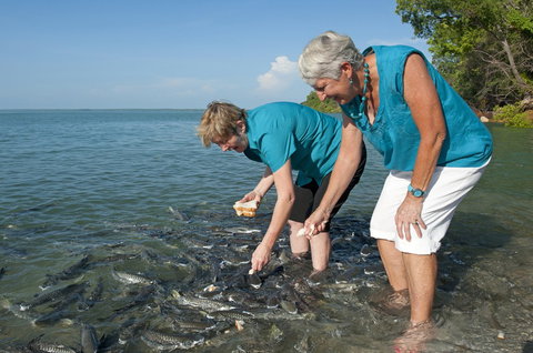 Aquascene Fish Feeding Sanctuary - C Tourism 0