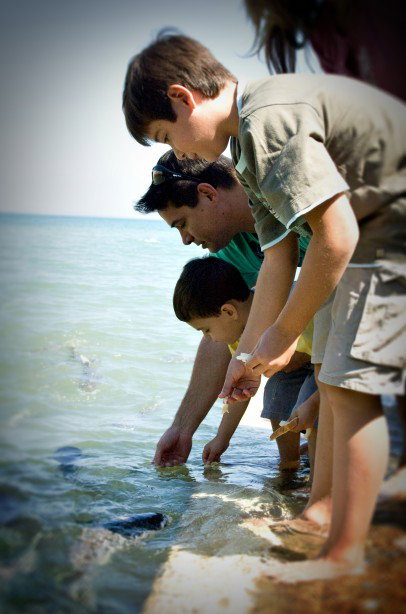 Aquascene Fish Feeding Sanctuary - C Tourism 3